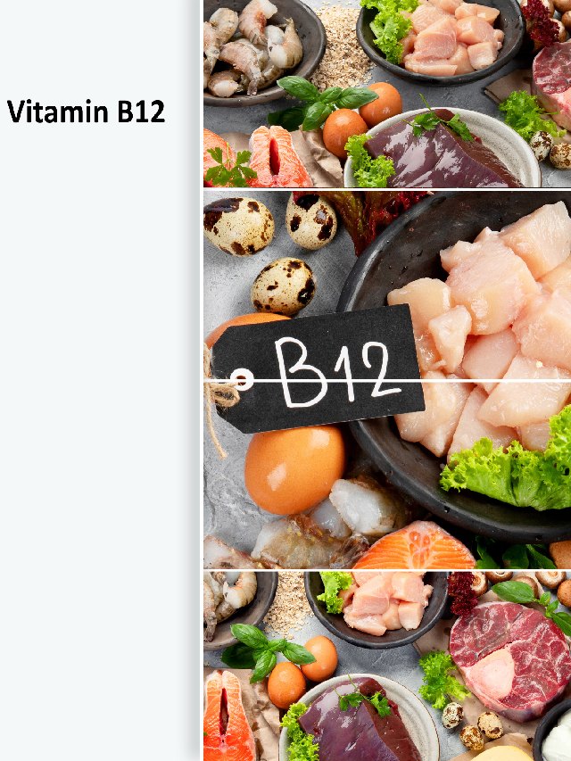 vitamin B12 (2)
